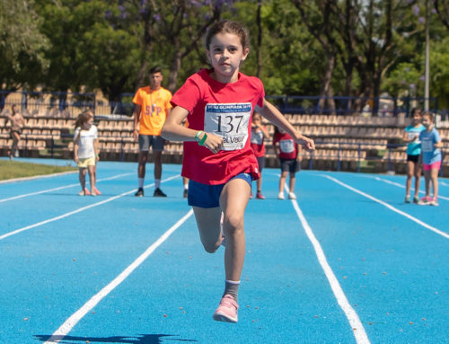 Mini Olimpiada 2019